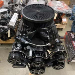 ProBuilt 6.0L LS Crate Engine 1